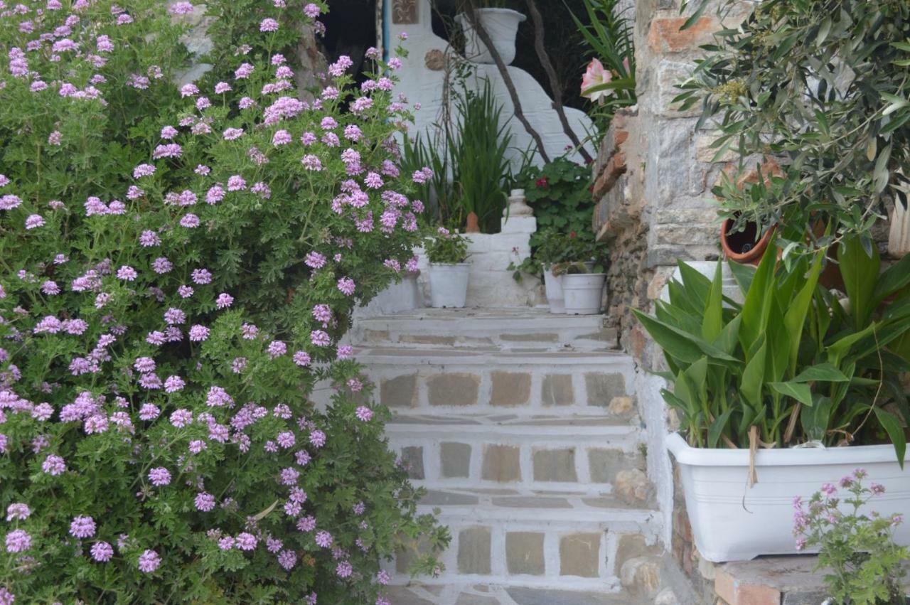 Aposperitis Rooms & Apartments Κίνι Εξωτερικό φωτογραφία